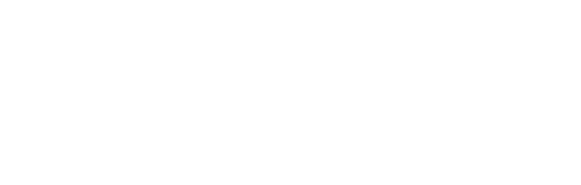 TeamLiquid logo wit